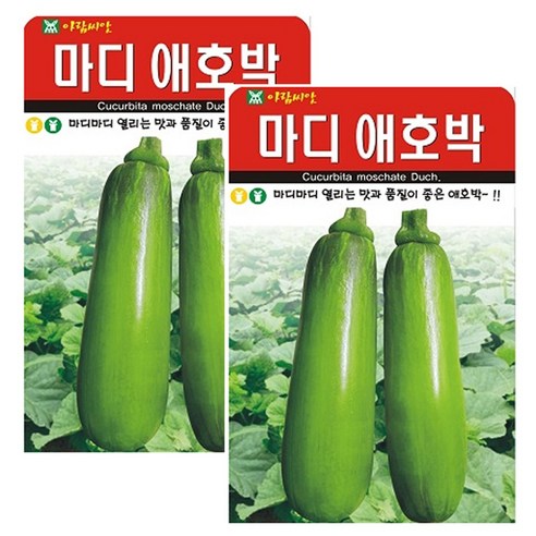 마디애호박 씨앗 애호박 씨앗 종자, 2개