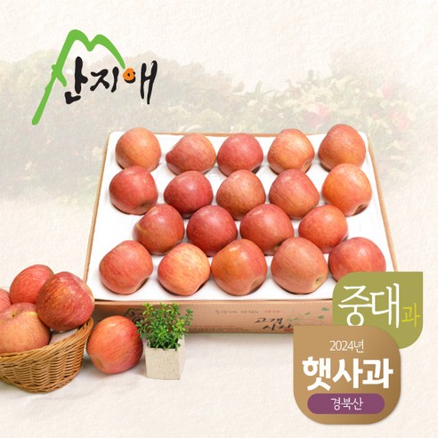 [2024햇사과] 산지애 알뜰 못난이사과(중과) 4.5kg 1box, 1개, 1개