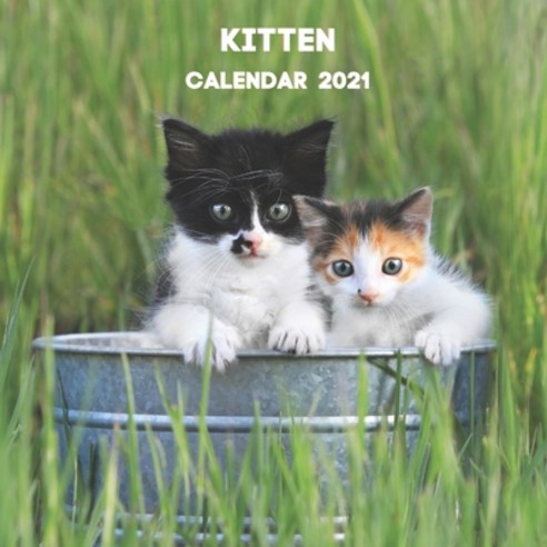 Kitten Calendar 2021: January 2021 - December 2021 Square Photo Book Monthly Planner Calendar Gift F... Paperback, Independently Published, English, 9798586175458