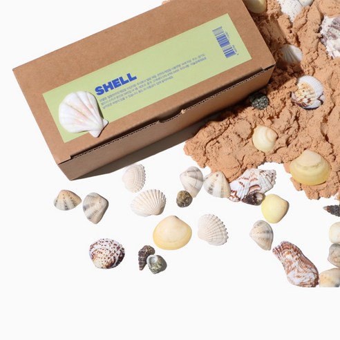 빌랑 천연 조개껍질로 당신의 창의성을 펼치세요