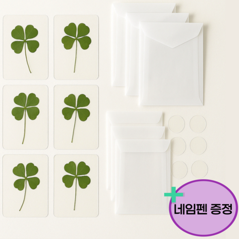 로지데코 네잎클로버 코팅 카드 6p + 트레이싱봉투 6p + 원형 투명 봉투스티커6p, 1세트