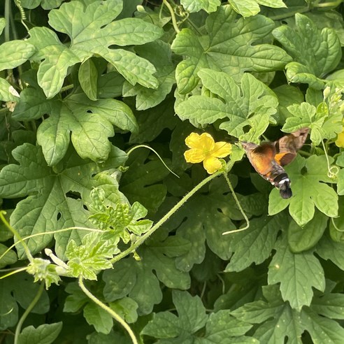 해남에서 온 고소한 맛, 건조한 식감의 풍부함을 만끽해보세요