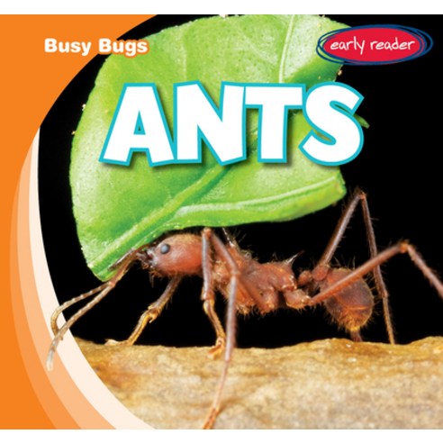 (영문도서) Ants Library Binding, Gareth Stevens Publishing, English, 9781538263198