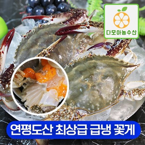 다모아수산 연평도 최상급 급냉 냉동 꽃게, 1.연평도 급냉 숫꽃게 중 1kg(4~6미), 1개