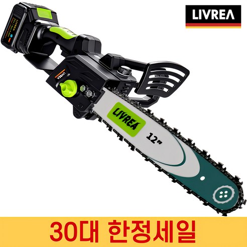 LIVREA 독일기술 전기톱 고출력 무선 충전식 세트 소형 미니 체인 날 전동, 12인치 전기톱+일반배터리, 2개