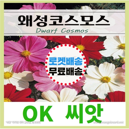[OK씨앗] [왜성코스모스] 코스모스씨앗 종자(오케이씨앗), 200립