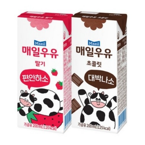 매일 멸균 우유 초코 딸기 48팩, 48개, 200ml