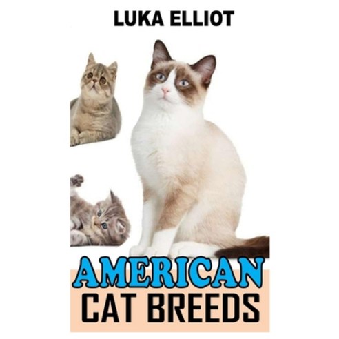 (영문도서) American Cat Breeds: A Complete Care Guide to American Cat Breeds Paperback, Independently Published, English, 9798753802217