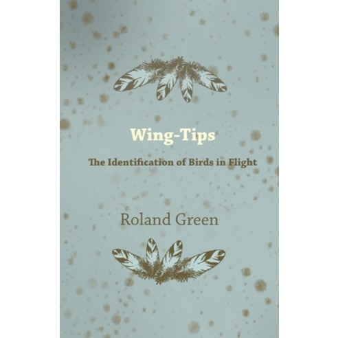(영문도서) Wing-Tips - The Identification of Birds in Flight Paperback, Hamlin Press, English, 9781447422693