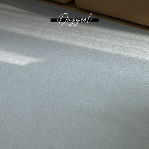 생활의 편리함과 아름다움을 더하는 완벽한 러그