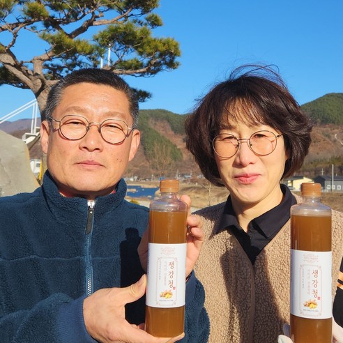 (무료배송)﻿ 지리산 산골장터 생강청 생강진액차 600g ﻿, 1개, 600mg