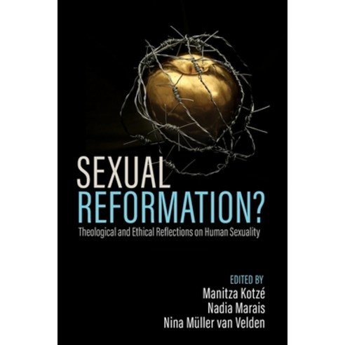 (영문도서) Sexual Reformation? Paperback, Pickwick Publications, English, 9781666708110