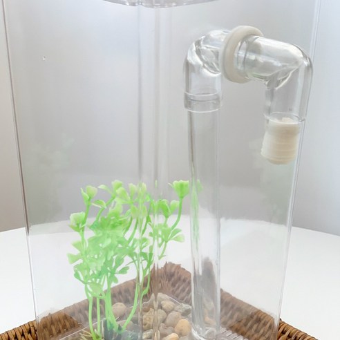 바쁜 일상 속의 자연을 담다