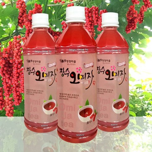 장수 오미자차 음료 500ml*15병, 15개, 500ml