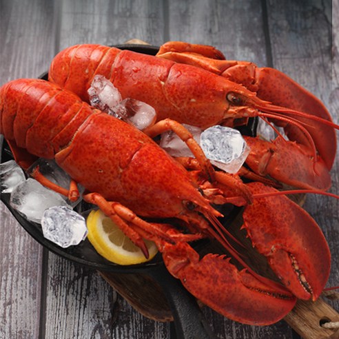 캐나다 현지 프리미엄 자숙랍스터, 풍부한 영양과 건강한 식단