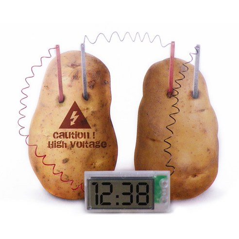 SMN 감자시계 포테이토 클락 실험 도구 과학 교육 완구 장난감 시계