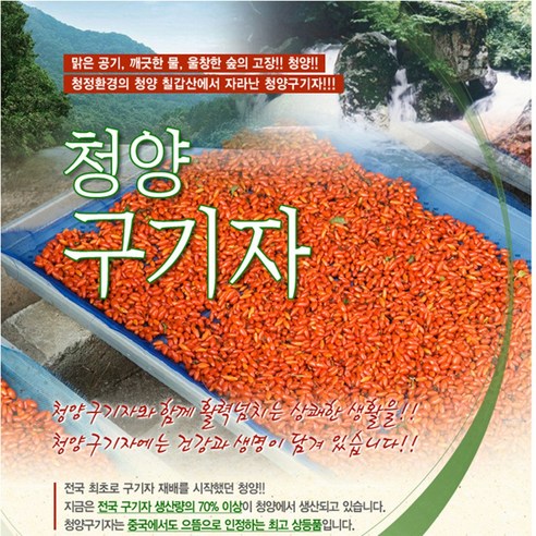 업셋코 100% 국산 청양 구기자, 100g, 1개