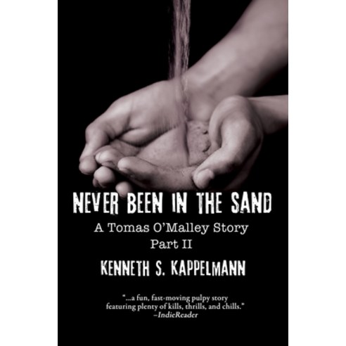 (영문도서) Never Been in the Sand Part 2 Paperback, Black Rose Writing, English, 9781684339303