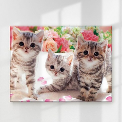 엔픽아트 캔버스형 보석십자수 40 x 50 cm, MK142 동물 고양이 삼형제, 1개