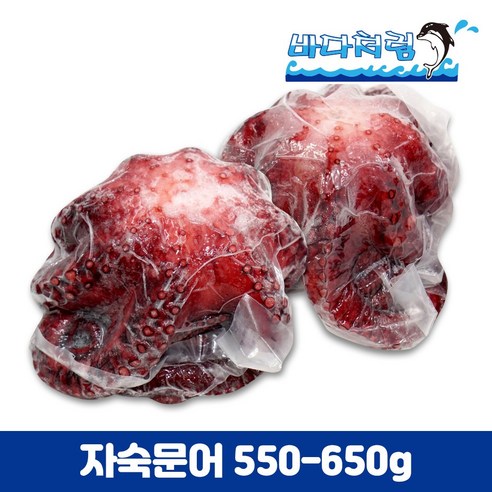 자숙문어 550/650g 필리핀 제수용 문어숙회 삶은문어, 1개