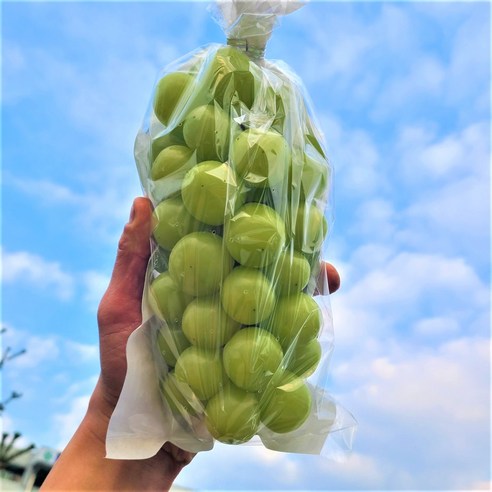 씨없는 포도 샤인머스켓 2kg 4kg, 3.(특 정품) 샤인머스캣 1kg (1~2수), 1개