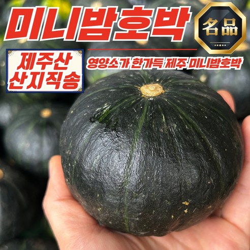 제주 미니 밤호박 보우짱 세척 3kg