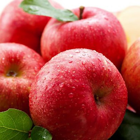 껍질째먹는 햇사과 경북 청송 안동 산지직송 선물용 꿀사과, 1개, 사과 꼬마 2kg(14~16과)