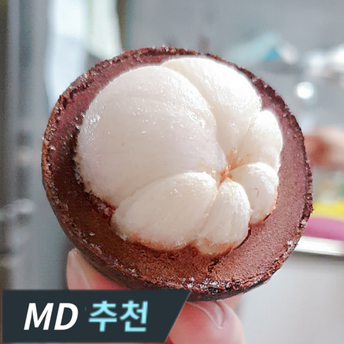[고니네농수산] 재구매율 1위 최상품 태국 생 망고스틴, 2개, 5kg(즉시출고)