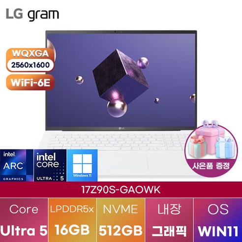 LG 그램17 17Z90S-GAOWK WIN11 신제품 대학생 인강용 업무용 사무용 포토샵 영상편집 고성능 가성비 노트북, WIN11 Home, 16GB, 512GB, 에센스 화이트