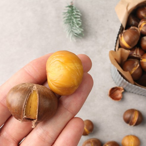 가을의 풍요를 담은 2023년 햇 공주 밤, 맛과 건강을 한 번에!