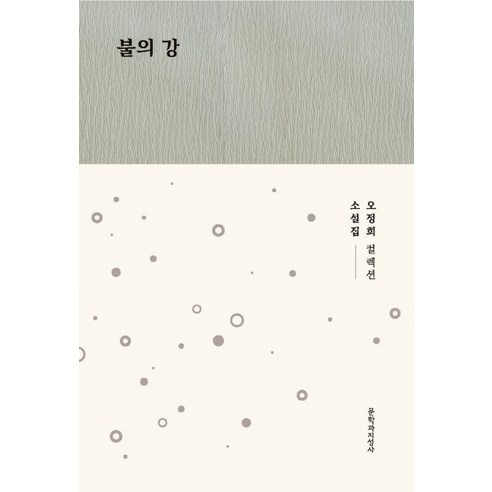 불의 강:오정희 소설집, 문학과지성사