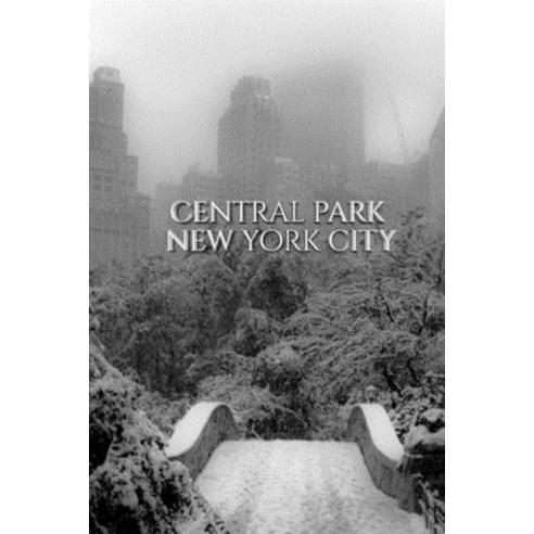 Central park Bridge New York City snow Winter Blank Journal $ir Michael Huhn designer edition Paperback, Blurb
