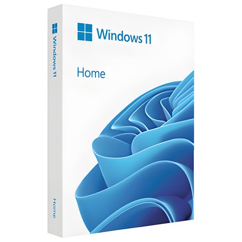 한국 마이크로소프트 정품 윈도우11 Home FPP 처음사용자용 영구제품키 설치USB Windows11