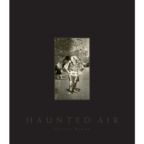 (영문도서) Haunted Air Hardcover, Jonathan Cape, English, 9781787334243