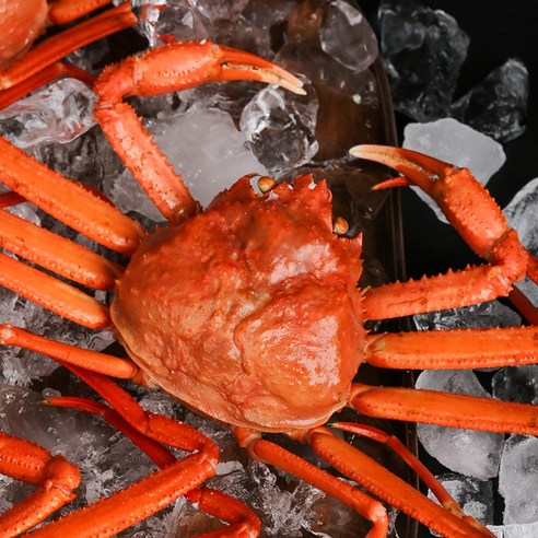 신선도와 맛, 가성비가 뛰어난 구룡포산 연지홍게