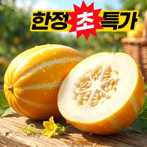 [당도폭발] 새벽수확 고당도 성주 꿀 참외