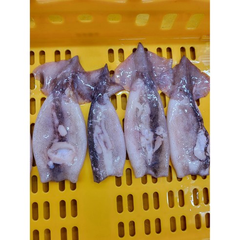 신선도 최상, 편리한 손질, 경제적인 가성비