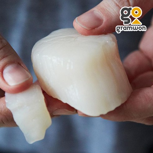맛있는 바다의 보물: 큼직한 손질 가리비 관자