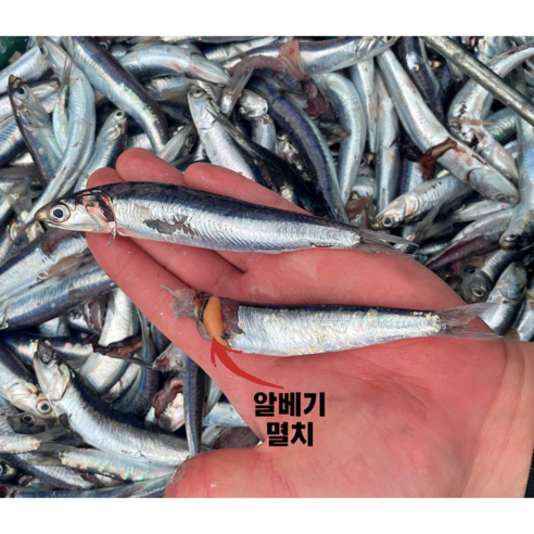 깊은 바다의 숨결, 자연 발효 거제도 멸치진젓으로 완성하는 풍요로운 식탁