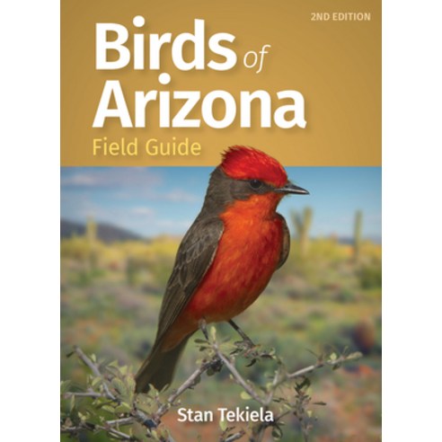 (영문도서) Birds of Arizona Field Guide Paperback, Adventure Publications, English, 9781647551940