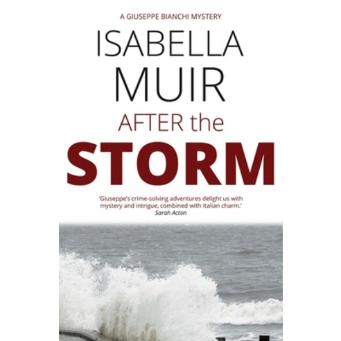 After the Storm Paperback, Outset Publishing Ltd, English, 9781872889337