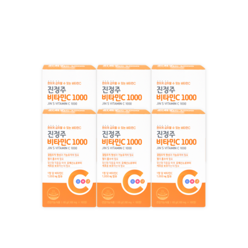 진정주 비타C1000 1100mg, 100정, 6개