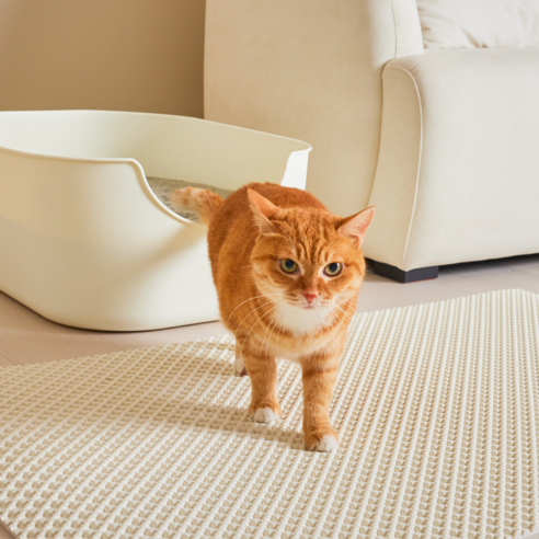 3651 이지클린 고양이 화장실 모래매트 특대형 라지, 크림치즈