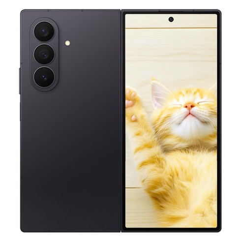 삼성전자 갤럭시 Z폴드 7 SM-F966N, 제트 블랙, 256GB
