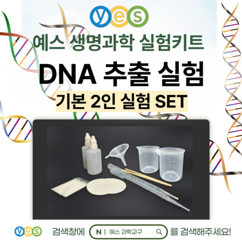 생명의 신비를 탐구하는 즐거운 과학 여행: 예스 과학교구 DNA 추출 실험 키트 리뷰 과학실험키트