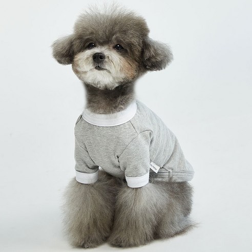 럭키페터 컬러링거 강아지 옷 소형견 대형견 티셔츠 실내복 강아지 내복, 그레이/화이트, 1개