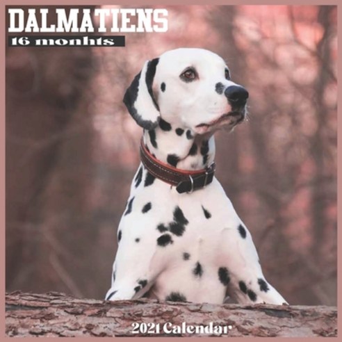 Dalmatiens 2021 Calendar: Official Dalmatian Dogs Wall Calendar 2021 Paperback, Independently Published, English, 9798580978512