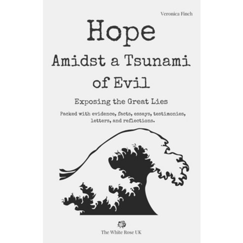 (영문도서) Hope Amidst a Tsunami of Evil: Exposing the Great Lies Paperback, Independently Published, English, 9798353379546