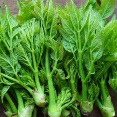 봄의 전령사, 여름에도 즐기는 향긋한 두릅의 비밀! 드릅