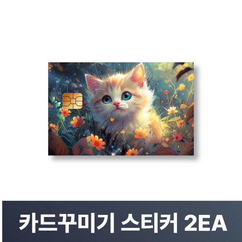 맥맨 카드꾸미기 스티커 신용카드 커버, 2개, M-33
